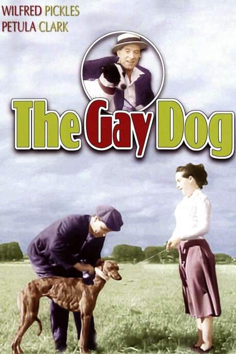 The Gay Dog